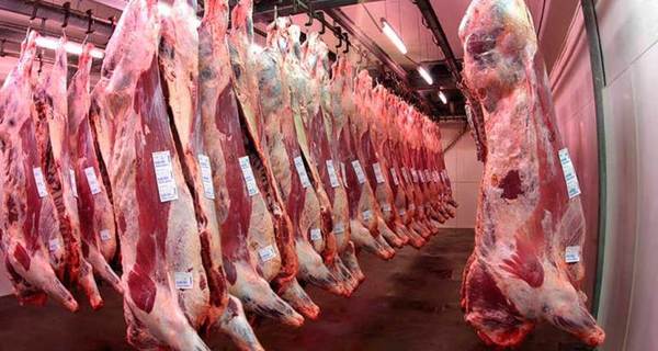 Paraguay trabaja para concretar mercados de EE.UU. y Turquía en el sector carne