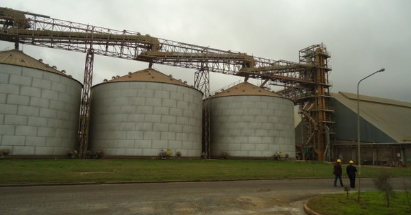 La Cappro afirma que la reforma tributaria castiga a la industria aceitera