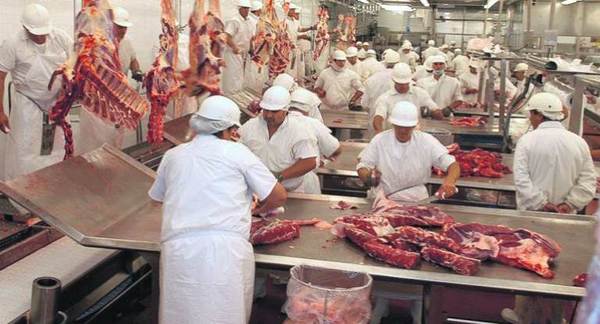 Frigorífico Concepción exportará carne al mercado chino