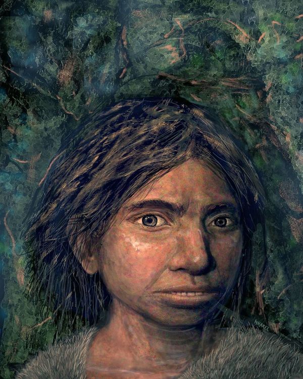 Los denisovanos tenían la cara larga y la pelvis ancha - Ciencia - ABC Color