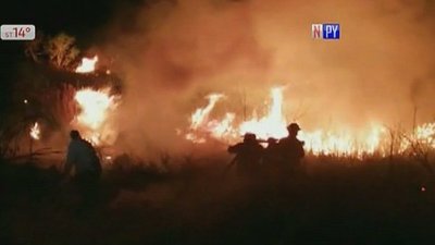 INCENDIO CONSUME MÁS DEL 40% DE RESERVA BIOLÓGICA DE MISIONES