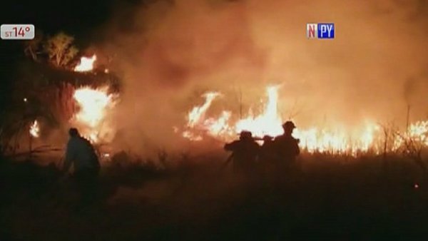INCENDIO CONSUME MÁS DEL 40% DE RESERVA BIOLÓGICA DE MISIONES