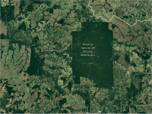 Reportan focos de incendios en reserva Morombí