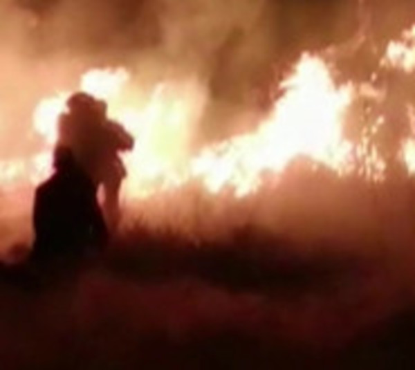 Unas 13 hectáreas consumidas por el fuego en Misiones - Paraguay.com