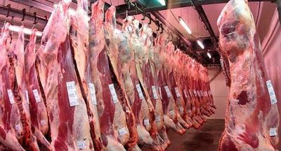 Disminución de ingresos del sector cárnico se dio por merma de exportación se subproductos no comestibles