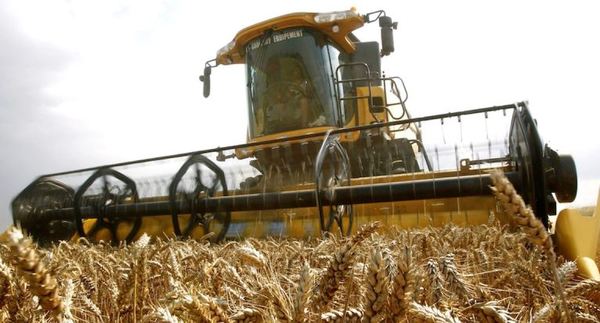 Exportadores argentinos están listos para satisfacer la demanda mexicana de alimentos