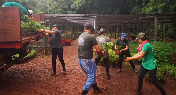 Vivero Forestal de ITAIPU está habilitado de lunes a viernes