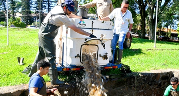 Siembran peces para mejorar calidad de agua del Lago de la República