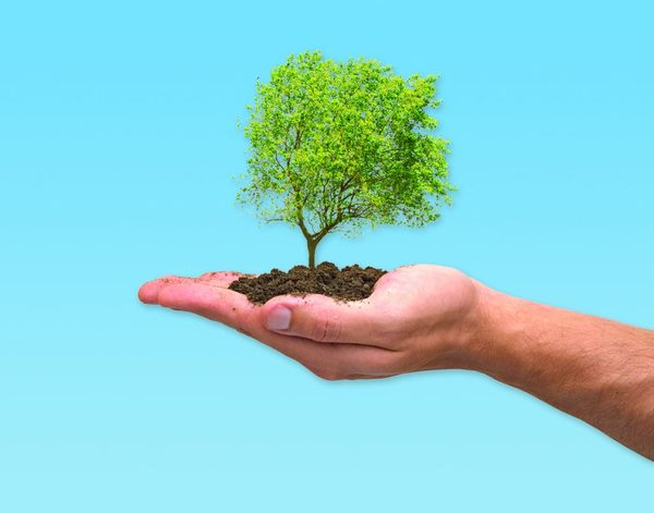 Sociedad unida a favor del ambiente