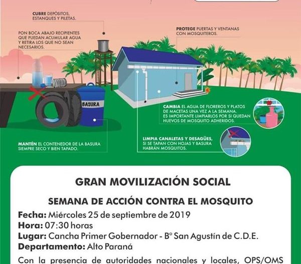 Intensificarán acciones contra mosquito transmisor de enfermedades
