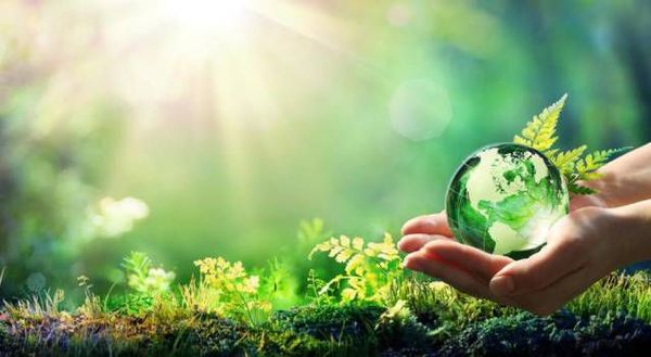 Presentaron propuesta de inversión climática a la banca privada