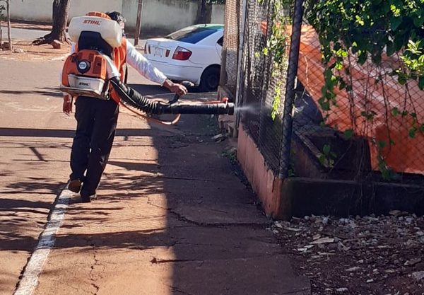 Municipalidad de CDE podrá realizar fumigaciones luego de 15 años