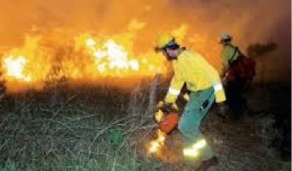 Cazadores causan incendio en reserva bilógica de la UNA