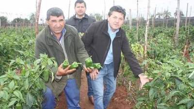 Horticultor del distrito de Belén consolida exitoso proyecto con el apoyo financiero del CAH