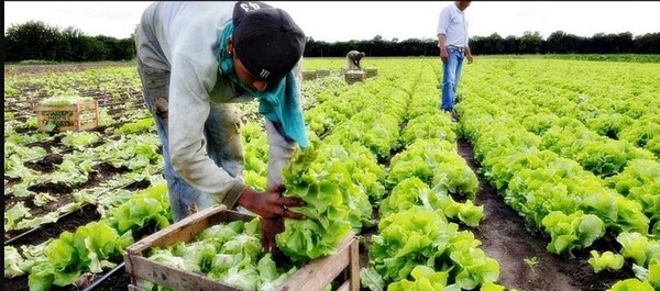 Microempresarios y productores son los que más recurren al BNF