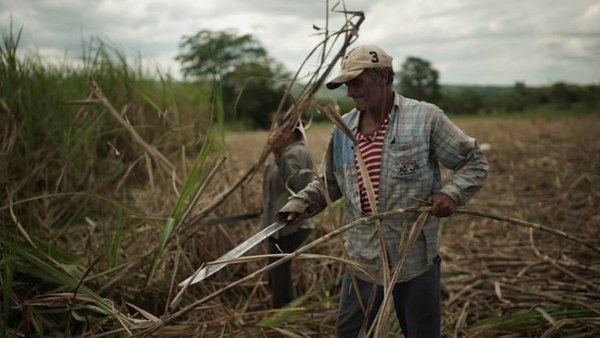 Petropar concreta la compra de alcohol absoluto