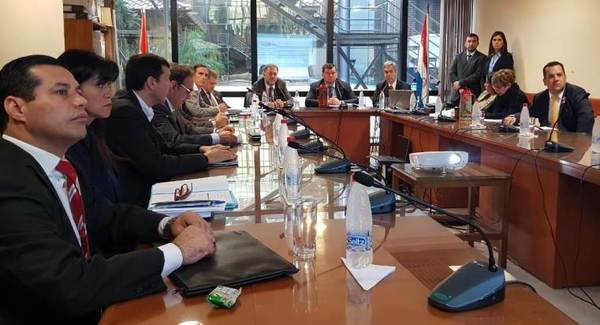 ANDE presentó los alcances para nuevas obras en Transmisión y Distribución a la Cámara Alta