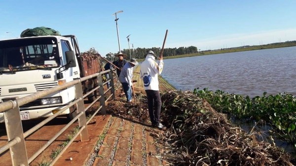 Yacyretá retira biomasa de los subembalses