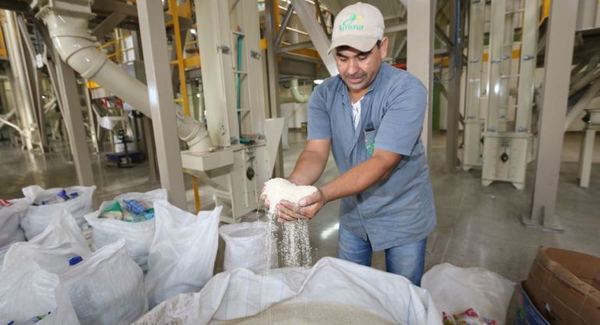 ANDE, MOPC y productores cooperarán en la construcción de la Ruta del Arroz