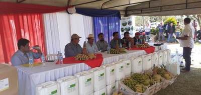 MAG entrega insumos para mejorar la producción de banana en San Pedro