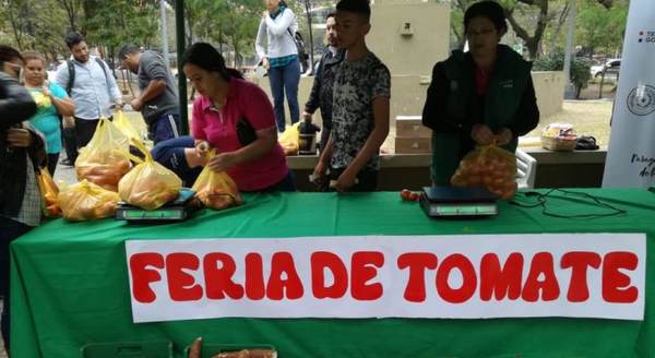 Productores de tomate ya vendieron 10.800 kilos y ferias continuarán durante el fin de semana