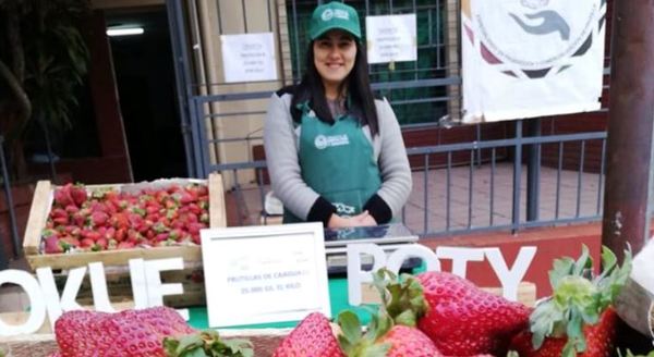 Preparan la primera edición de Ferias móviles de frutillas en barrios de Asunción