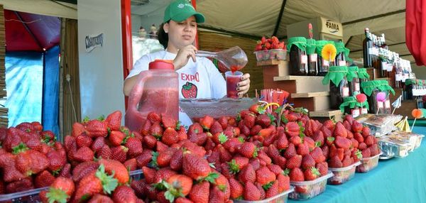 Todo el mes de agosto se desarrolla la Expo frutilla en Areguá
