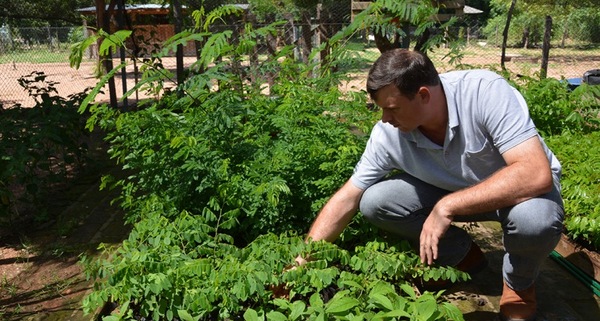 Ministerio de Justicia suma árboles para reforestación desde viveros penitenciarios