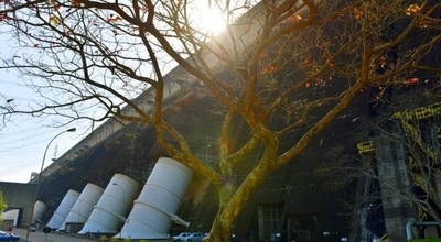 ITAIPU conmemora el Día Mundial de la Diversidad Biológica con protección y conservación de la naturaleza