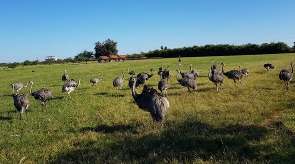 Refugio Faunístico Atinguy es otra opción para estar Semana
