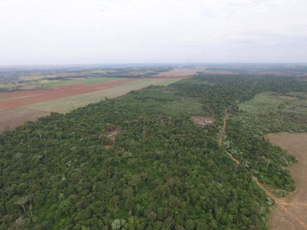 Denuncian que personas armadas habrían atacado establecimiento en Yasy Cañy