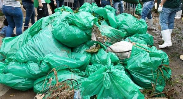 Un total de 43 toneladas de basura fueron retiradas del Mburicaó en primera jornada