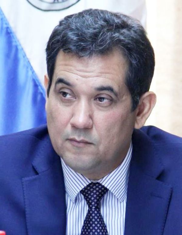 Senado tratará veto al programa “Ñane Energía” - Política - ABC Color
