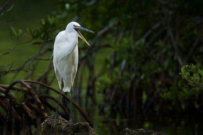 Nuevo centro de información sobre reservas naturales en Florida - Viajes - ABC Color