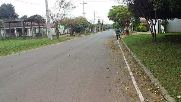 Cero indice de infestación larvaria en Santa Rosa Misiones - Digital Misiones