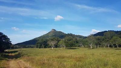 Muerte en el cerro: barajan imputación por homicidio culposo