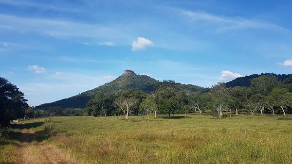 Muerte en el cerro: barajan imputación por homicidio culposo