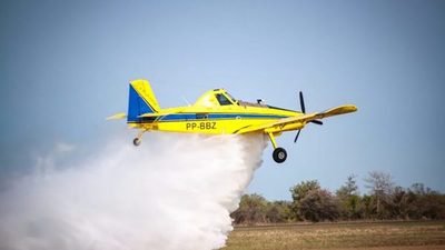 Dependemos del viento norte, del sur y del viro que pueda dar