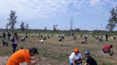 Plantatón sumó 10.000 arbolitos más para el medio ambiente