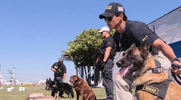 HOY / Veinte perros expertos, de entre 10 a 15 mil dólares cada uno