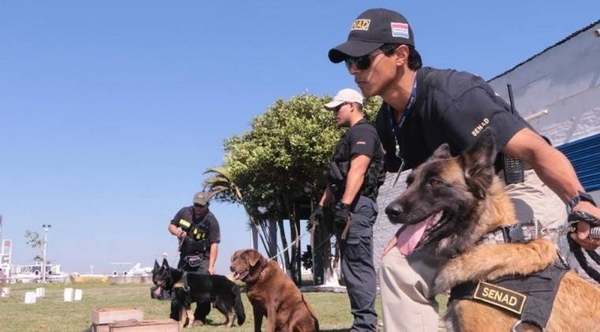 HOY / Veinte perros expertos, de entre  10 a 15 mil dólares cada uno