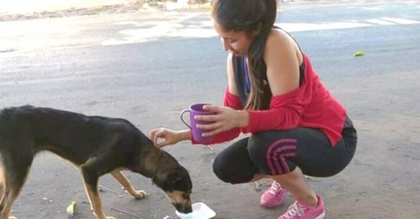 Prefirió a sus animales que ¡a su novio!