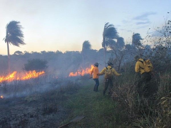 Voluntarios paraguayos combatirán los incendios en territorio boliviano
