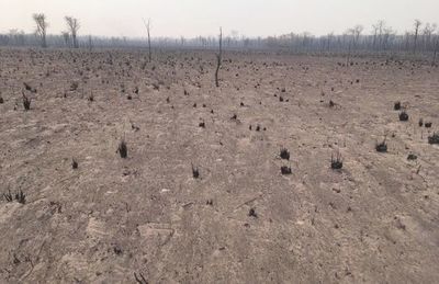 El Chaco sufre el incendio más grande jamás registrado - Nacionales - ABC Color