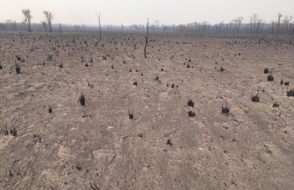 El Chaco sufre el incendio más grande jamás registrado - Nacionales - ABC Color