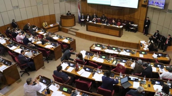HOY / Senado acepta veto al proyecto Ñane Energía