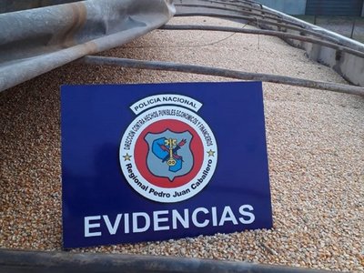 Decomisaron más de 36.000 kilos de maíz en Pedro Juan Caballero