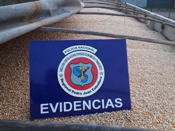 Decomisaron más de 36.000 kilos de maíz en Pedro Juan Caballero