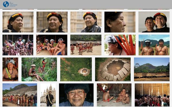 “Nobel alternativo” a Greta y asociación Yanomami Hutukara