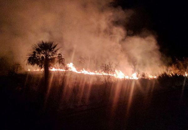 Los focos de incendio se redujeron a 21, según Infona - Nacionales - ABC Color